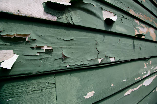 Best Shed Removal  in Santa Fe Springs, CA